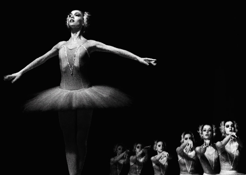 Фотографія Жанр / Стефан Стефанов / photographers.ua