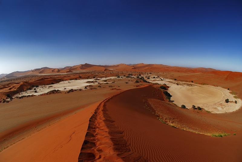 Фотографія Dunes of Namib / Fotomafia (Олег Баженов) / photographers.ua