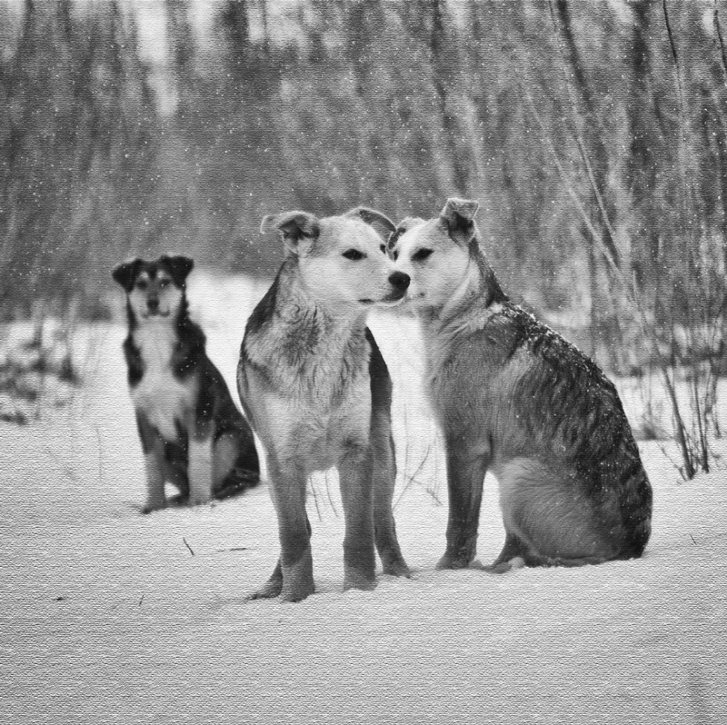 Фотографія треугольник / RomAna / photographers.ua