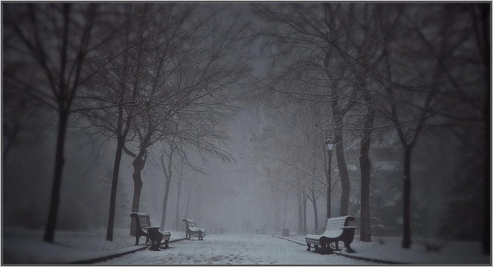 Фотографія *** / Yaroslav Boychenko / photographers.ua