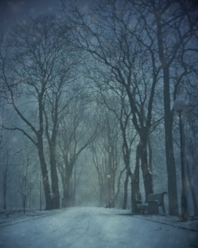 Фотографія Пейзаж / Yaroslav Boychenko / photographers.ua