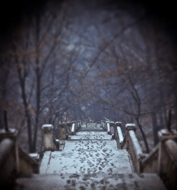 Фотографія *** / Yaroslav Boychenko / photographers.ua