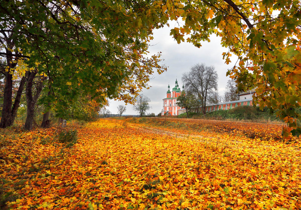 Фотографія Густинський монастир / Владимир Мирчук / photographers.ua