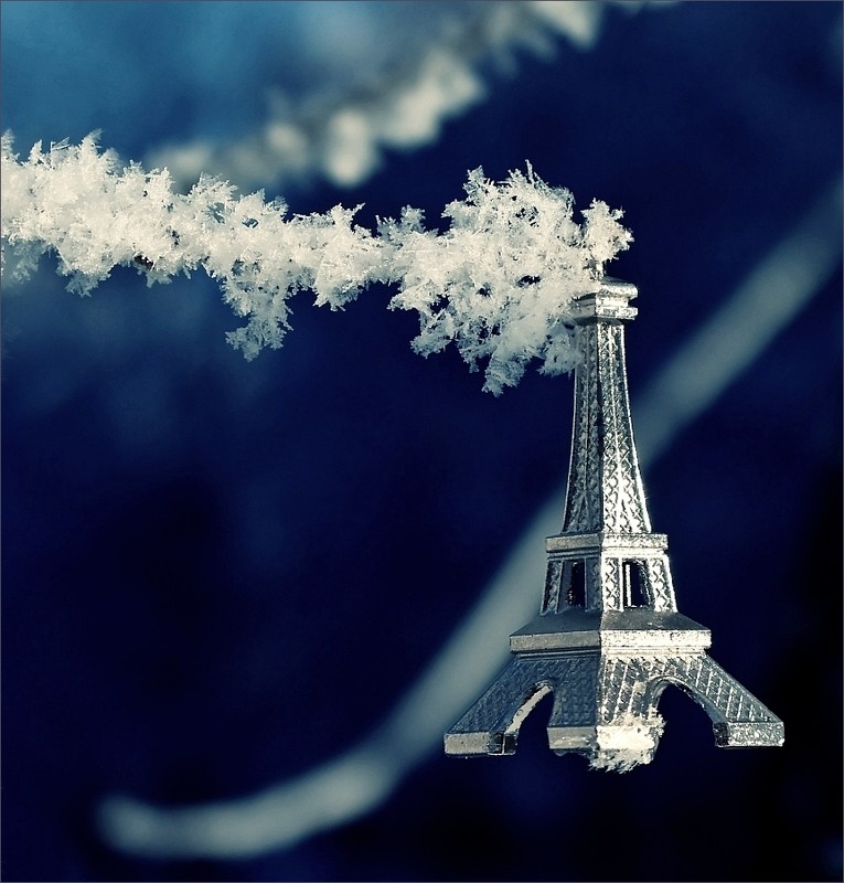 Фотографія ...winter fairy-tale in French... / *IriS* / photographers.ua