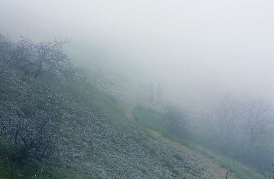 Фотографія Беседы в тумане... / ElDiFor / photographers.ua