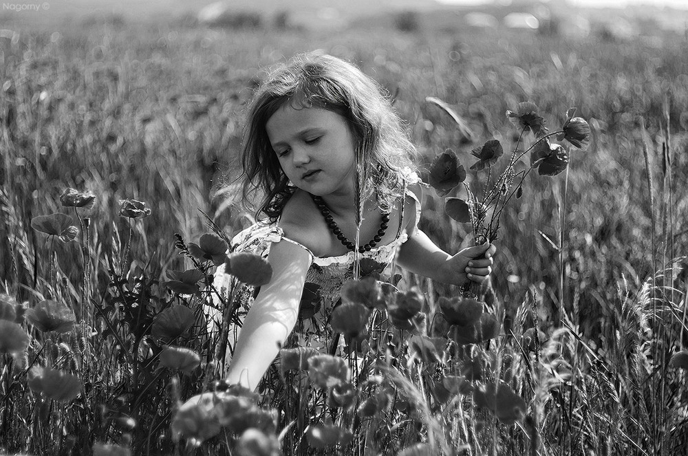Фотографія Детский мир / Павел Нагорный / photographers.ua