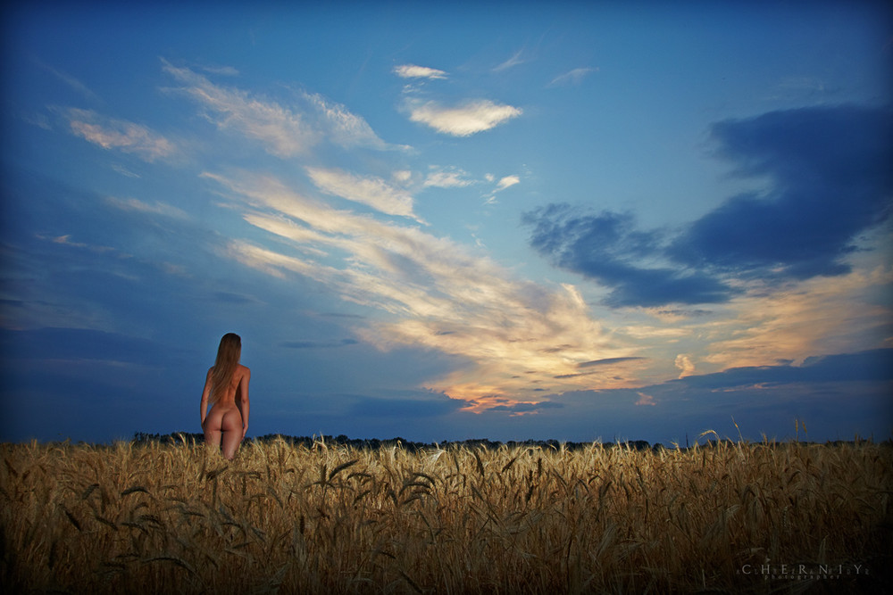 Фотографія wheat beauty / Александр Черный / photographers.ua