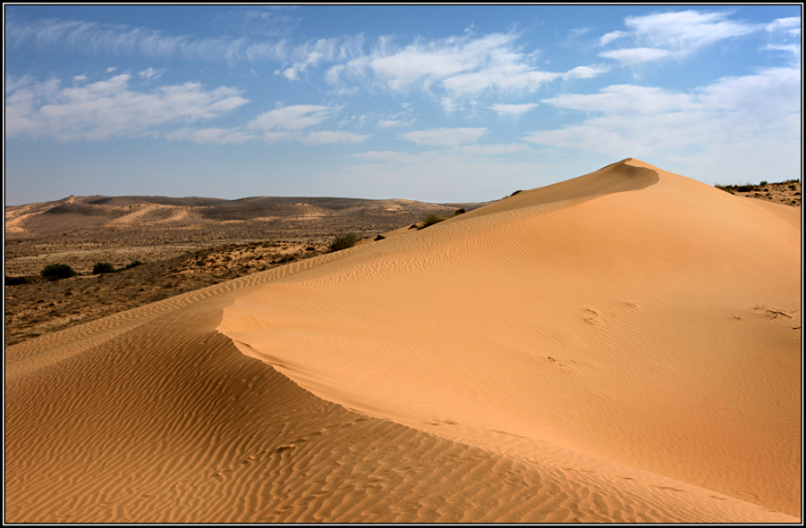 Фотографія Desert Negev / Дмитрий Кантер / photographers.ua