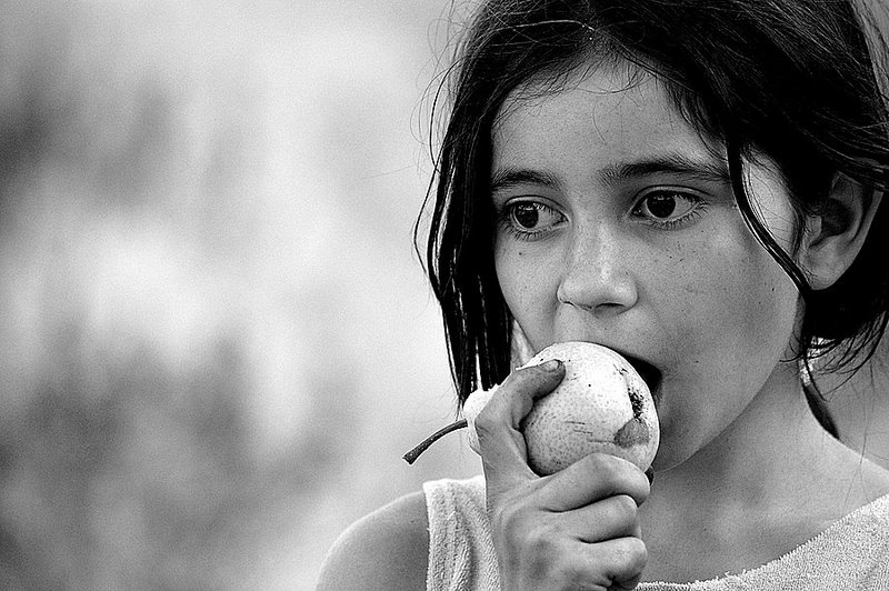 Фотографія away... / Nata Moraru / photographers.ua