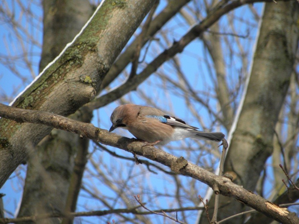 Фотографія Пейзаж / Віталій Грач / photographers.ua