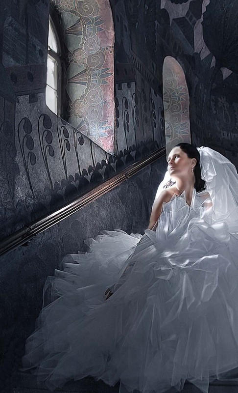 Фотографія Белая птица / Sandra / photographers.ua