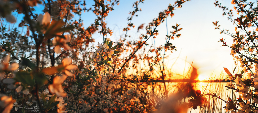 Фотографія Пейзаж / Oleg Kirienko / photographers.ua
