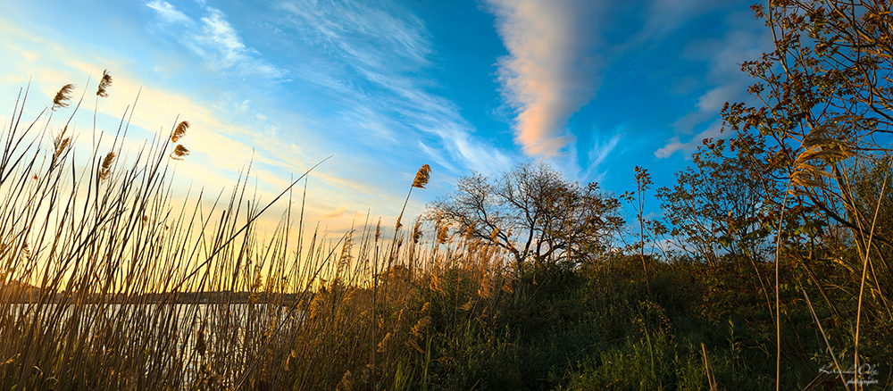 Фотографія Пейзаж / Oleg Kirienko / photographers.ua