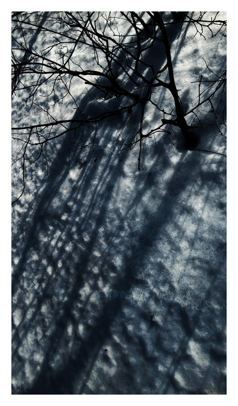 Фотографія Fragments of Light / Andrey Merschiy / photographers.ua
