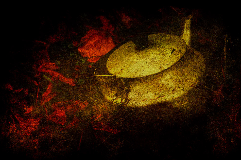 Фотографія Осенний сад, эпизод 2 / Andrey Merschiy / photographers.ua