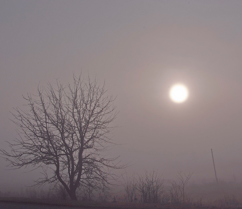 Фотографія ...в тумане главное не спешить... / Andrey Merschiy / photographers.ua