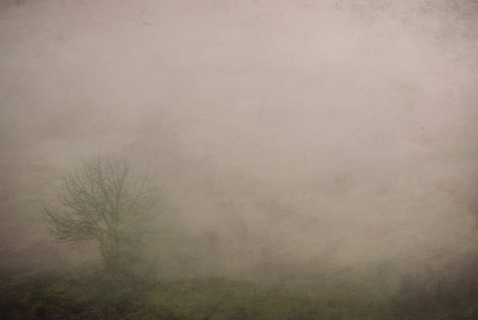 Фотографія ...запах тумана-2... / Andrey Merschiy / photographers.ua