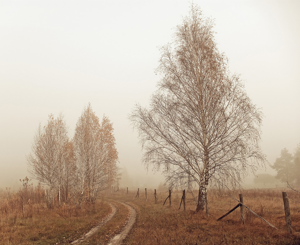Фотографія ...что нашептала осень... / Andrey Merschiy / photographers.ua