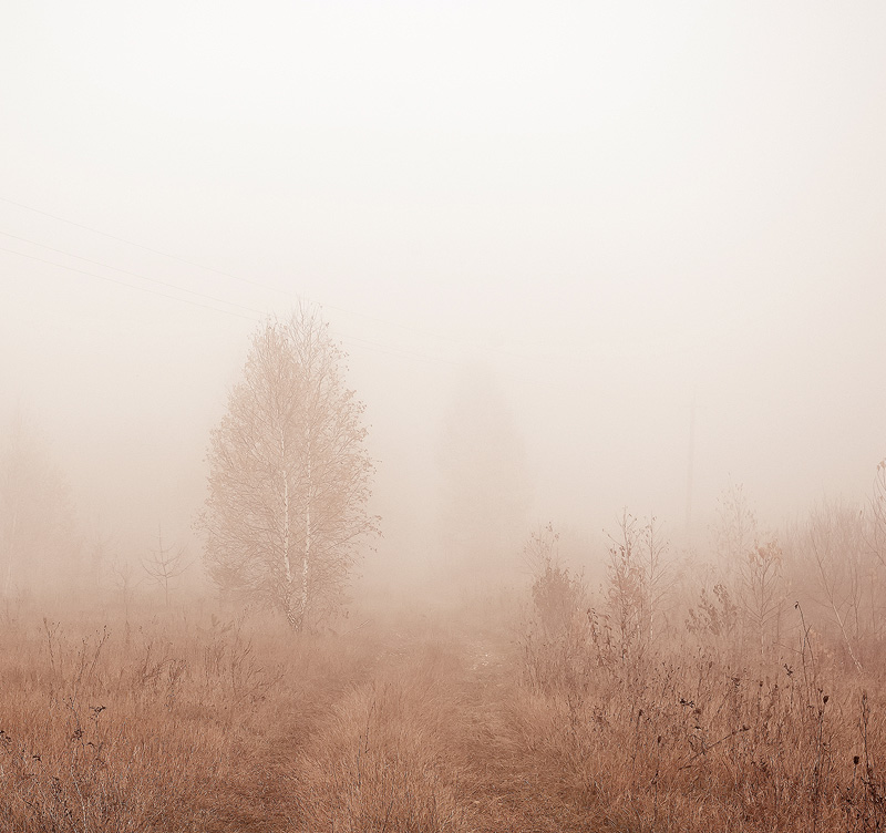Фотографія ...как тают в тумане силуэты... / Andrey Merschiy / photographers.ua