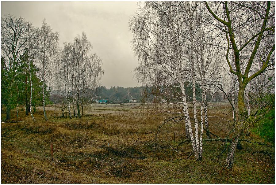 Фотографія Когда деревья еще спали... / Andrey Merschiy / photographers.ua