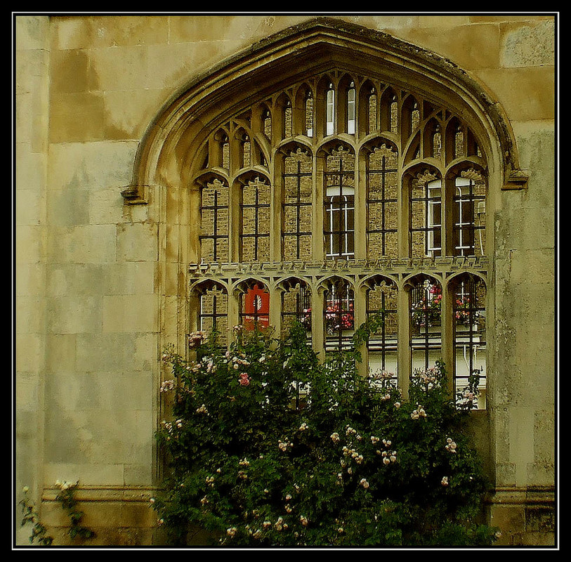 Фотографія Window to Cambridge / Lika Go / photographers.ua