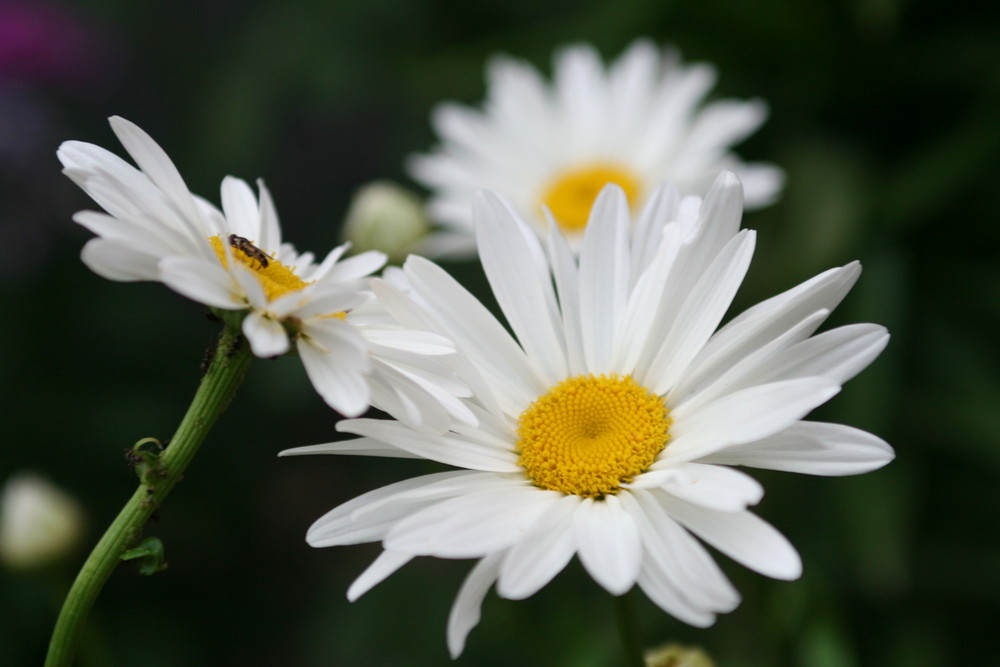 Фотографія Разное / Андрей Кийко / photographers.ua