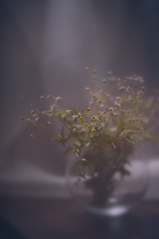 Фотографія ****** / королева / photographers.ua