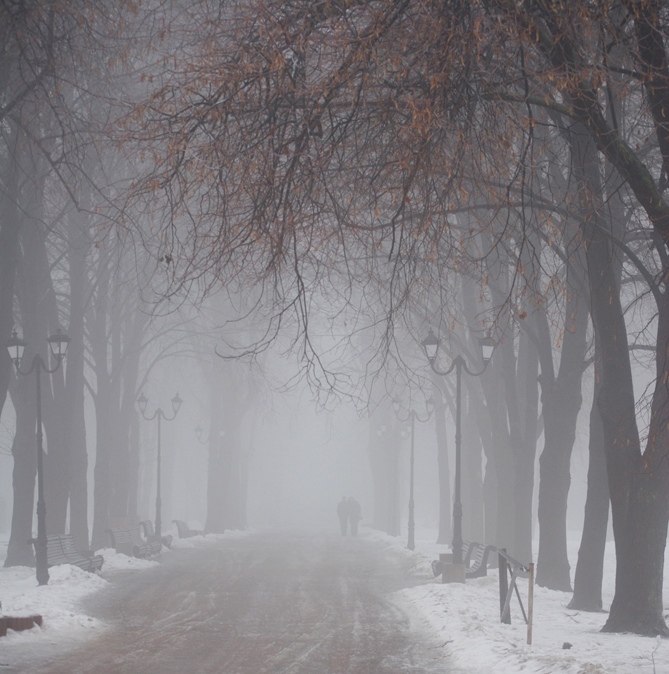 Фотографія Туман в Маріїнському парку / Lesko Kromplitz / photographers.ua