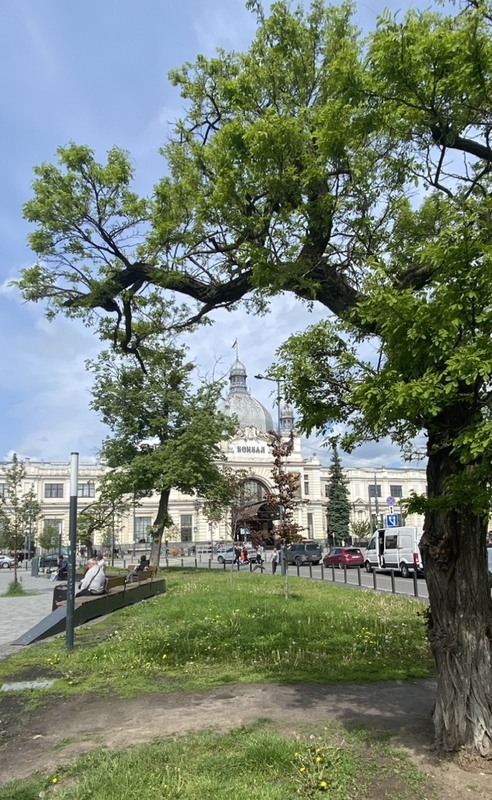 Фотографія Сьоднішній ранок у місті Лева / Alice Grey / photographers.ua