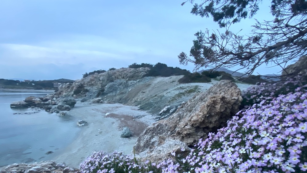 Фотографія Пейзаж / Alice Grey / photographers.ua