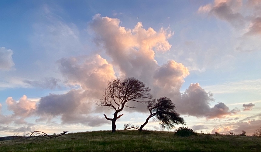 Фотографія Пейзаж / Alice Grey / photographers.ua