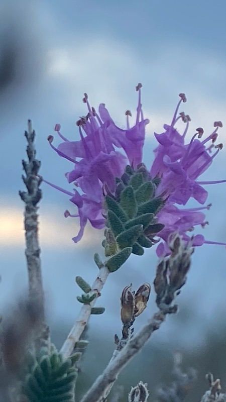 Фотографія Пейзаж / Alice Grey / photographers.ua