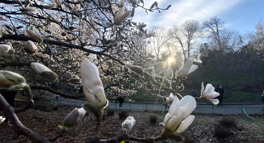 Фотографія Пейзаж / Alice Grey / photographers.ua