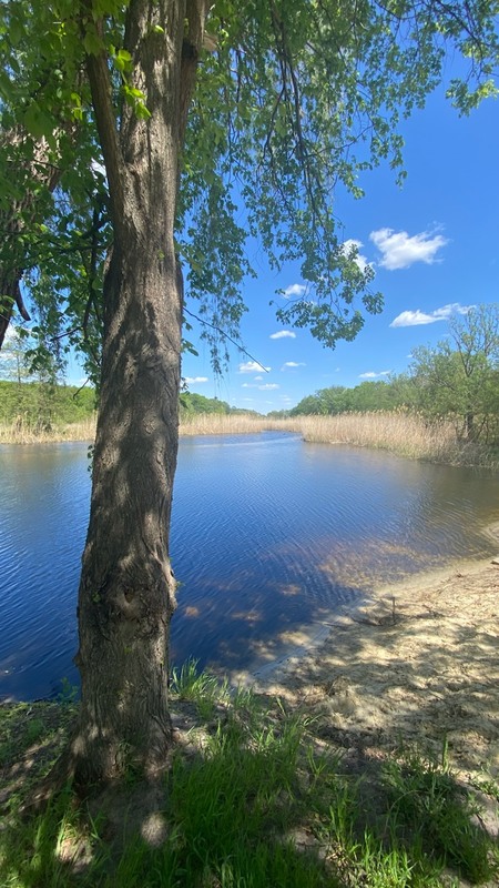 Фотографія Пейзаж / Alice Grey / photographers.ua