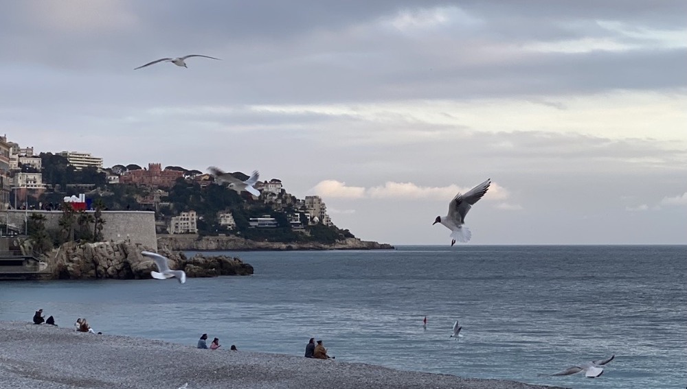 Фотографія Гра в ілюзію / Alice Grey / photographers.ua