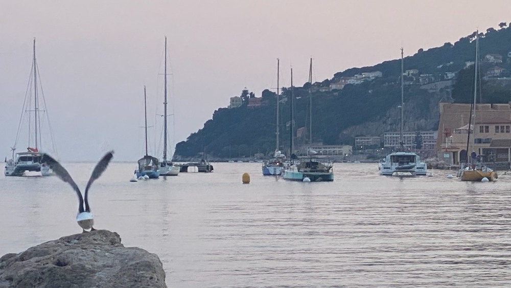 Фотографія Пейзаж / Alice Grey / photographers.ua