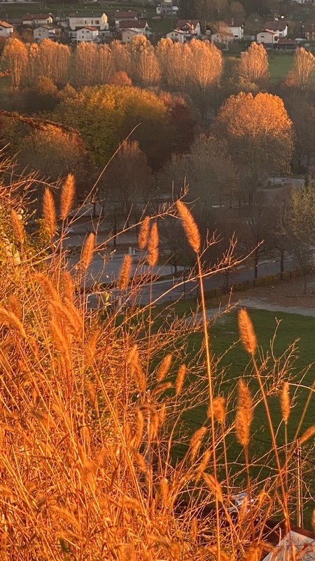 Фотографія Пейзаж / Alice Grey / photographers.ua