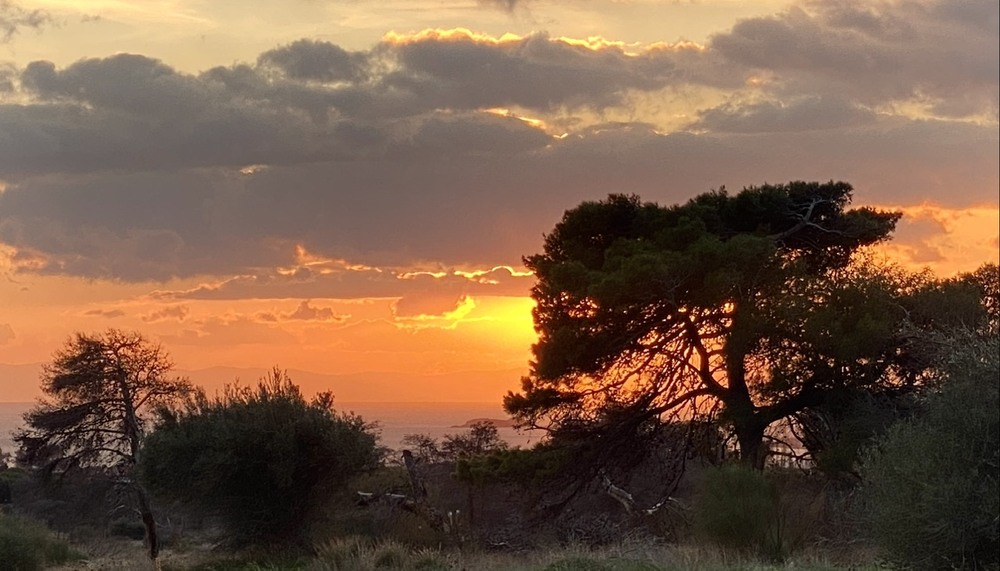 Фотографія Пейзаж / Alice Grey / photographers.ua