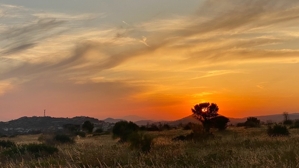 Фотографія Пейзаж / Alice Grey / photographers.ua