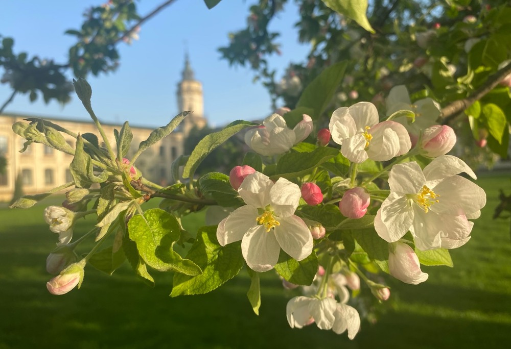 Фотографія Пейзаж / Alice Grey / photographers.ua