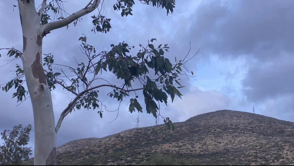 Фотографія Пейзаж / Alice Grey / photographers.ua