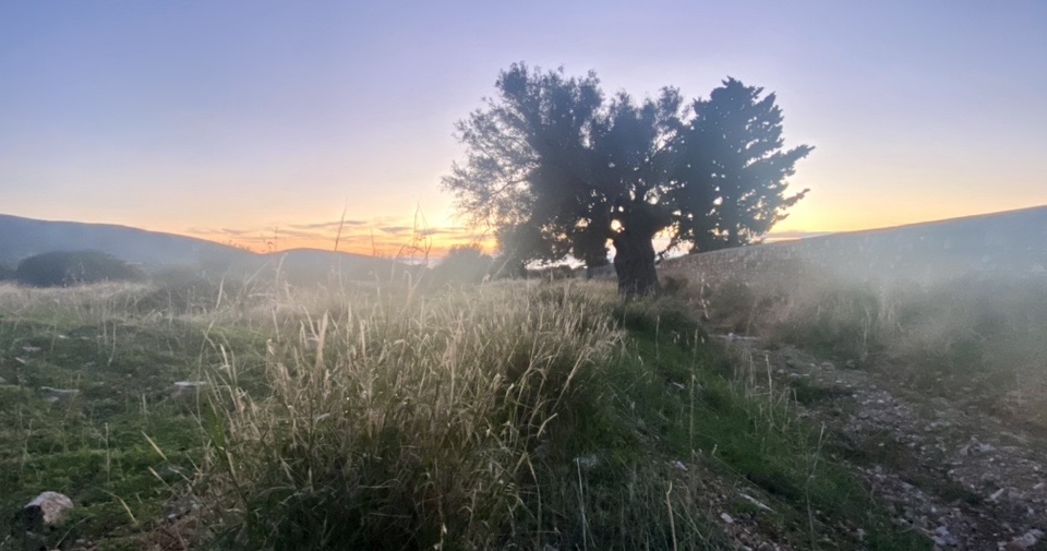 Фотографія Пейзаж / Alice Grey / photographers.ua