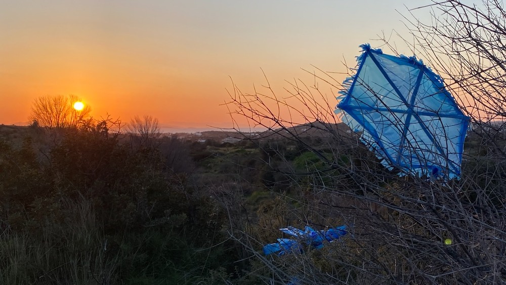 Фотографія Пейзаж / Alice Grey / photographers.ua