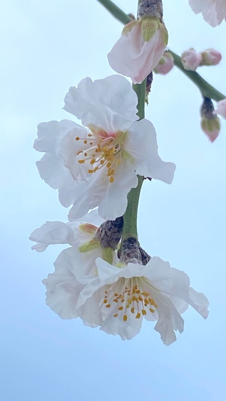 Фотографія Пейзаж / Alice Grey / photographers.ua