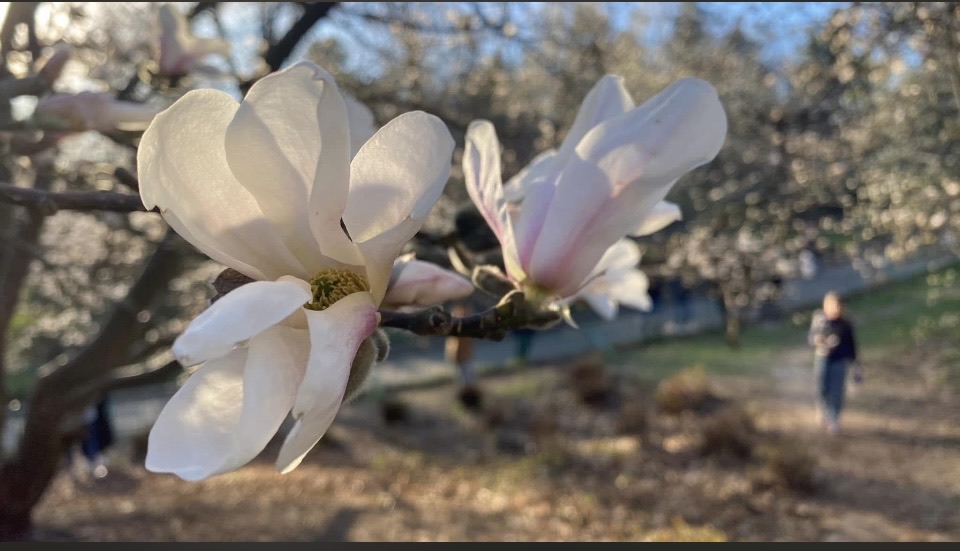 Фотографія Пейзаж / Alice Grey / photographers.ua
