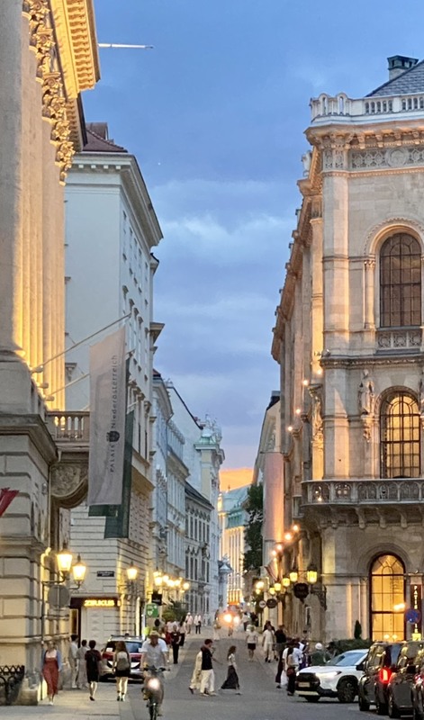 Фотографія Вечірній Відень, 3 / Alice Grey / photographers.ua