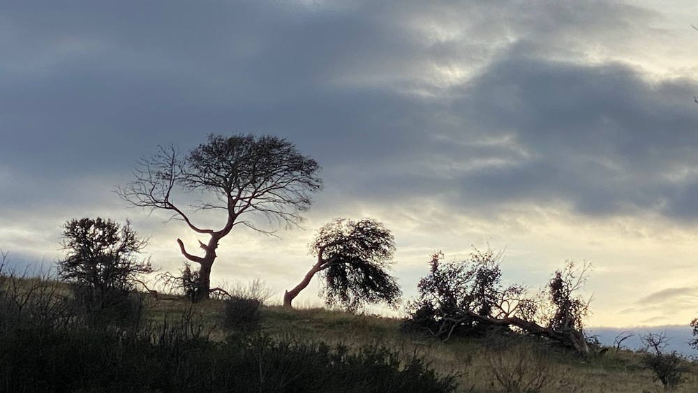 Фотографія Пейзаж / Alice Grey / photographers.ua