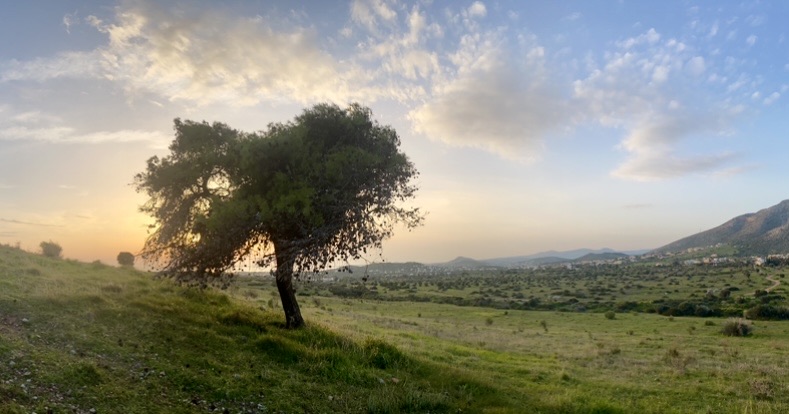 Фотографія Пейзаж / Alice Grey / photographers.ua