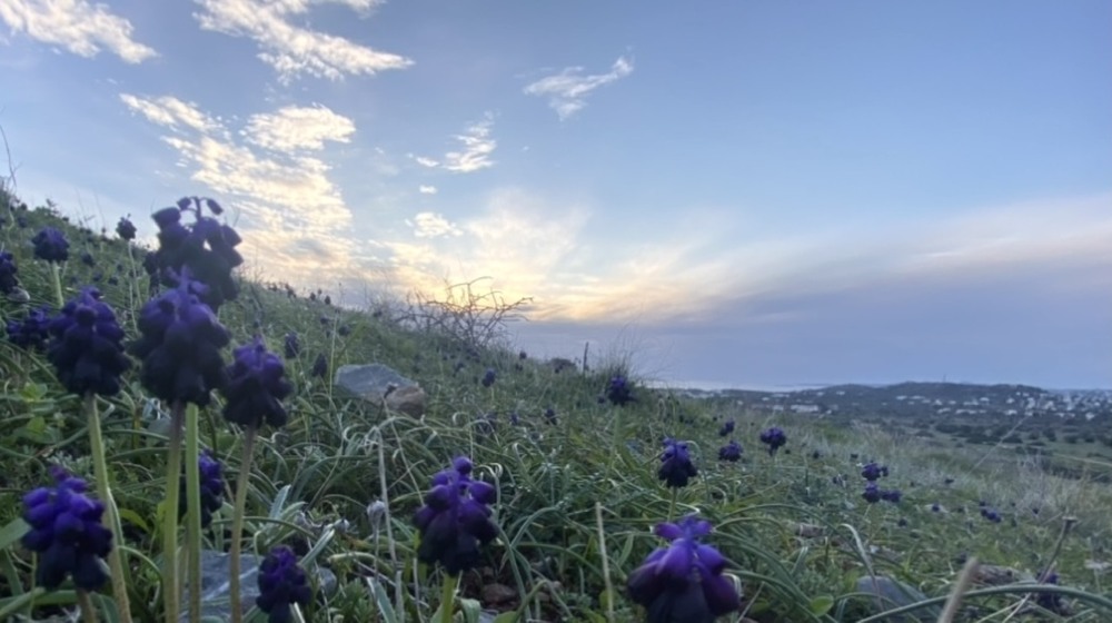 Фотографія Пейзаж / Alice Grey / photographers.ua