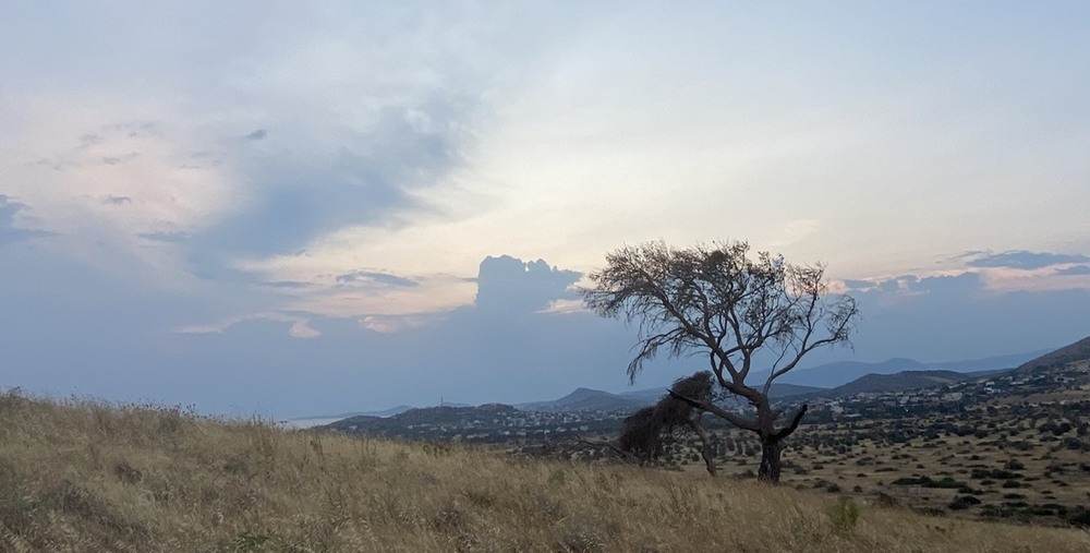 Фотографія Пейзаж / Alice Grey / photographers.ua